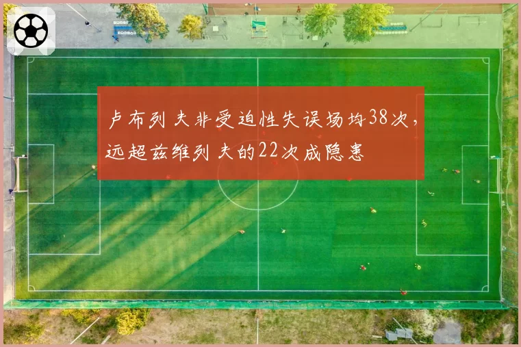 卢布列夫非受迫性失误场均38次，远超兹维列夫的22次成隐患