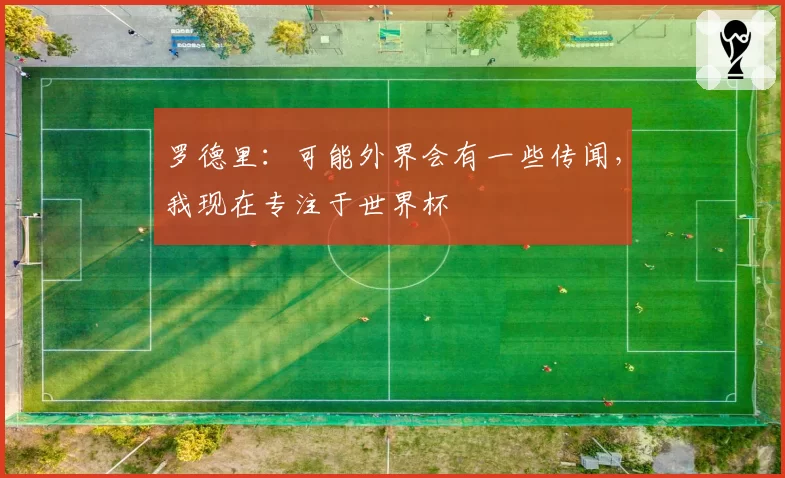罗德里:可能外界会有一些传闻,我现在专注于世界杯